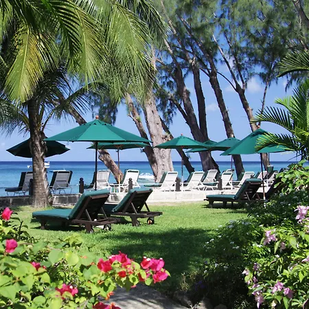 Coral Reef Club 