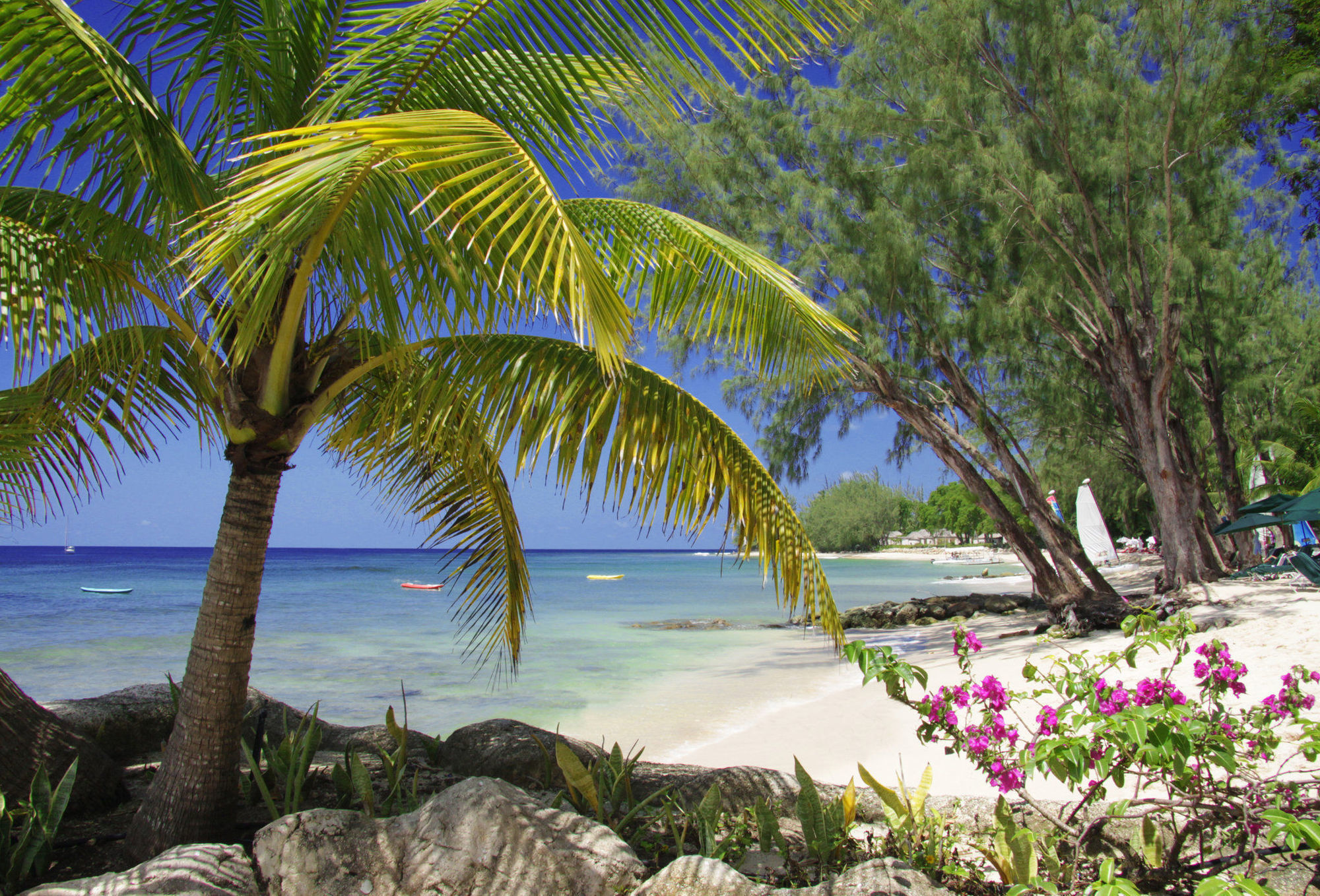 Resort Coral Reef Club